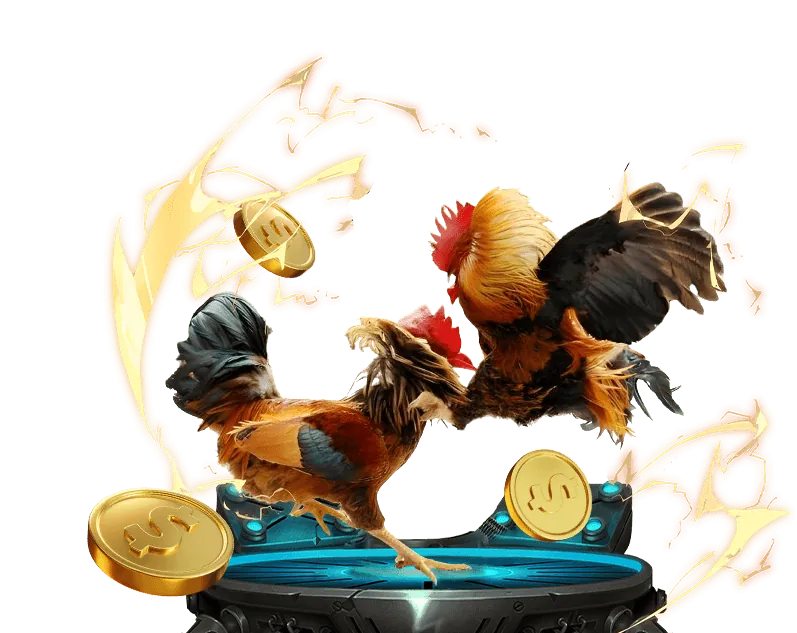 Các tính năng nền tảng đá gà trực tiếp, bao gồm livestream và cược